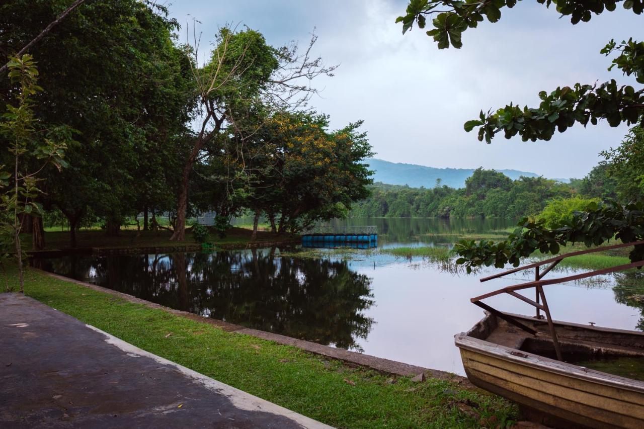 The Nest Thattekad Thattakad ภายนอก รูปภาพ
