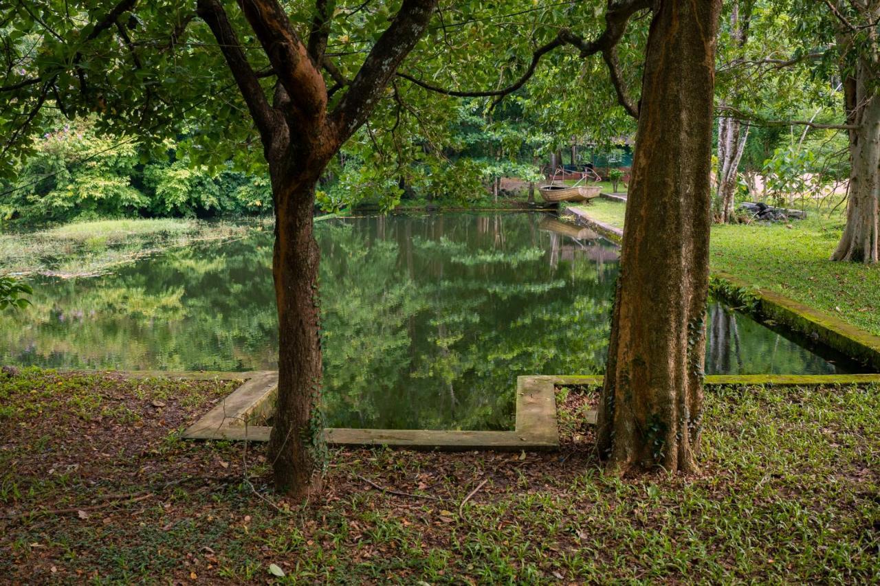 The Nest Thattekad Thattakad ภายนอก รูปภาพ